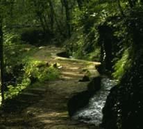 Canal des moines
